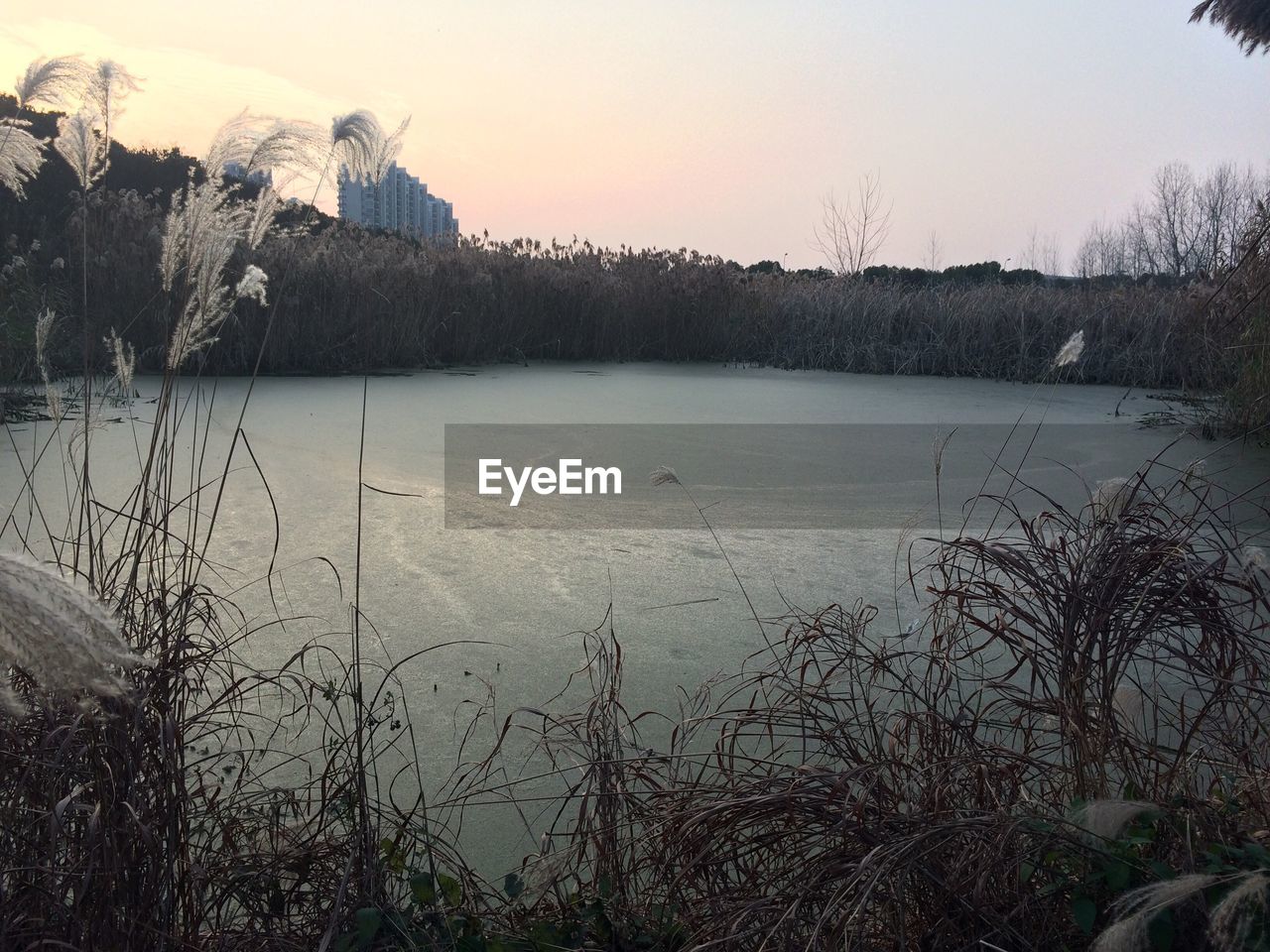 VIEW OF LAKE DURING SUNSET