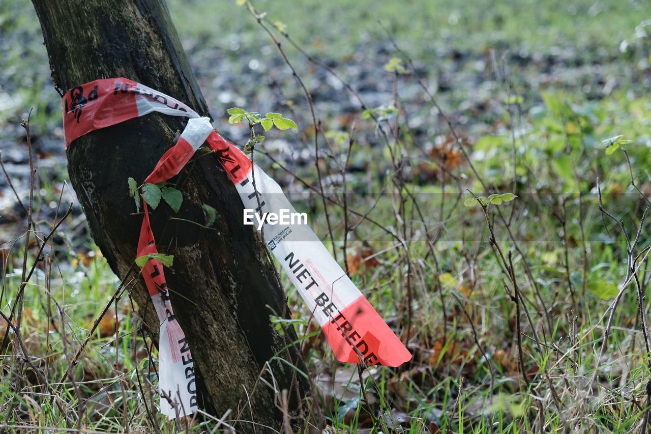 CLOSE-UP OF SIGN BOARD ON TREE TRUNK