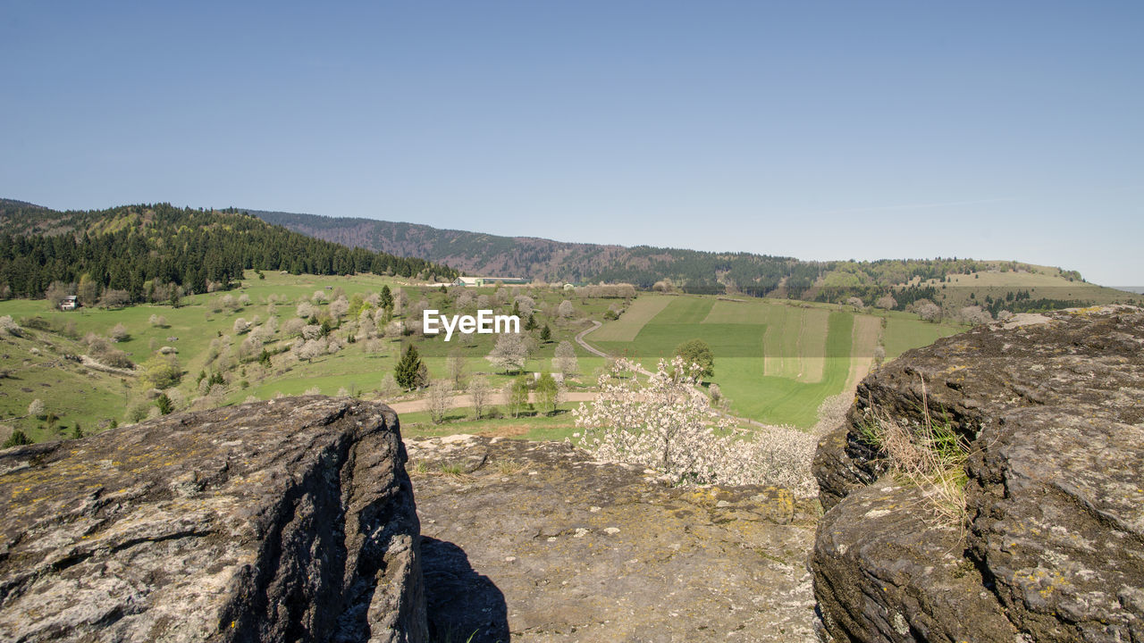 Scenic view of landscape against clear sky