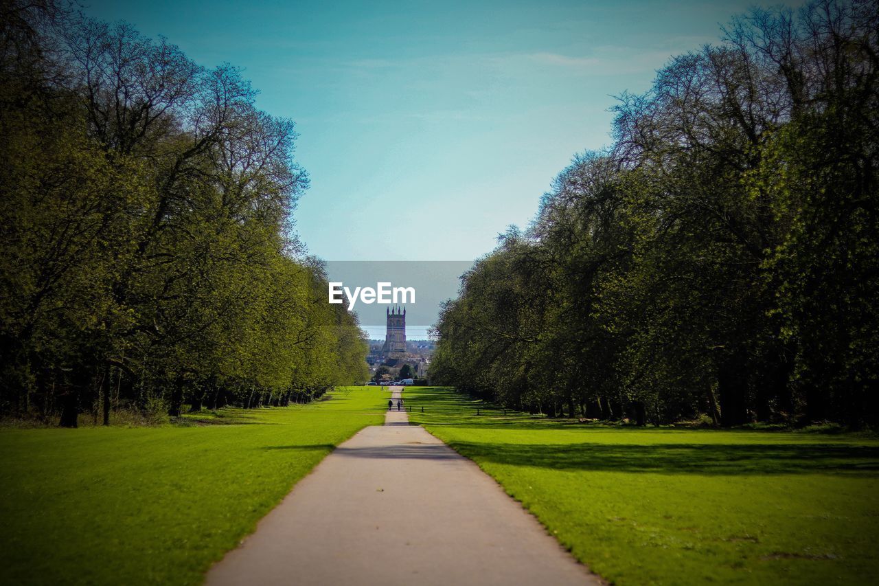 FOOTPATH AMIDST TREES AND GRASS