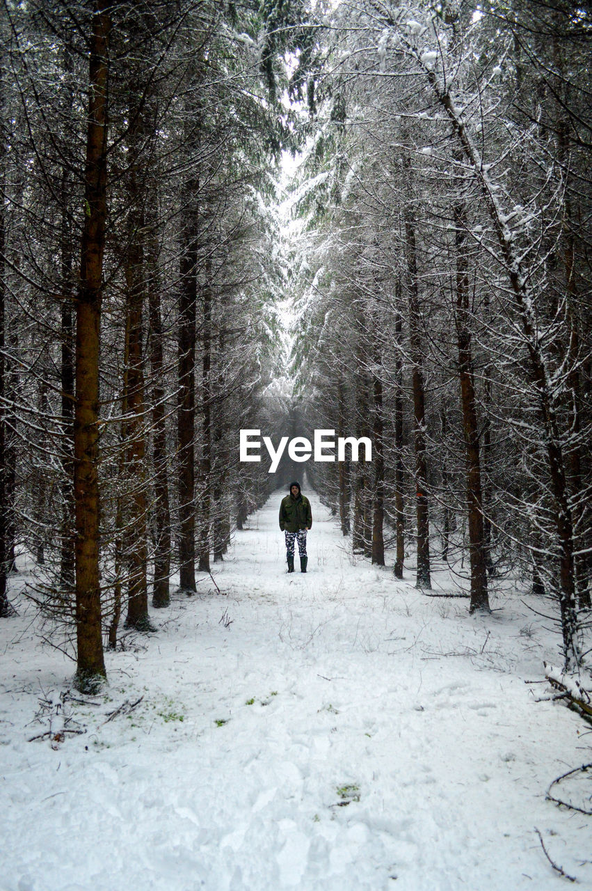 Full length of man amidst bare trees in forest