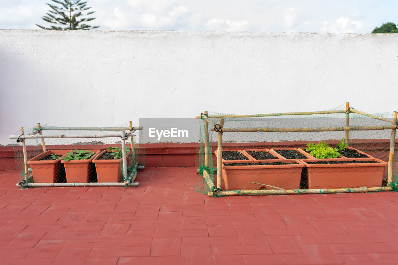 nature, no people, day, architecture, wall, plant, outdoors, absence, seat, cloud, furniture, sky, built structure, playground, wall - building feature, empty