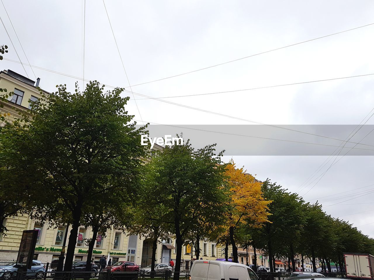 PANORAMIC VIEW OF TREES AND CITY AGAINST SKY