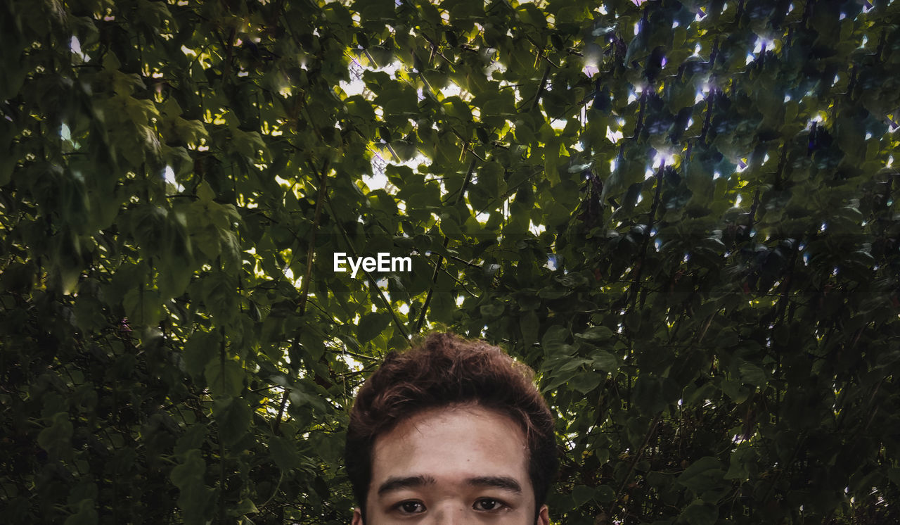 Portrait of young man against plants