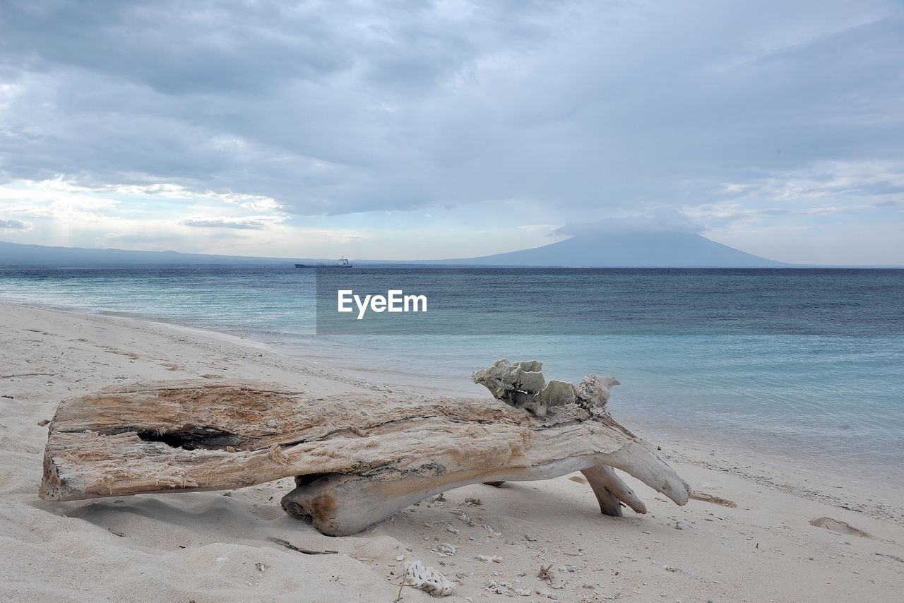 Scenic view of driftwood on beach against sky