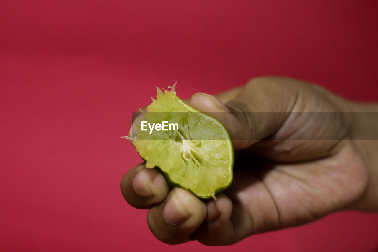 CLOSE-UP OF HAND HOLDING FRUIT