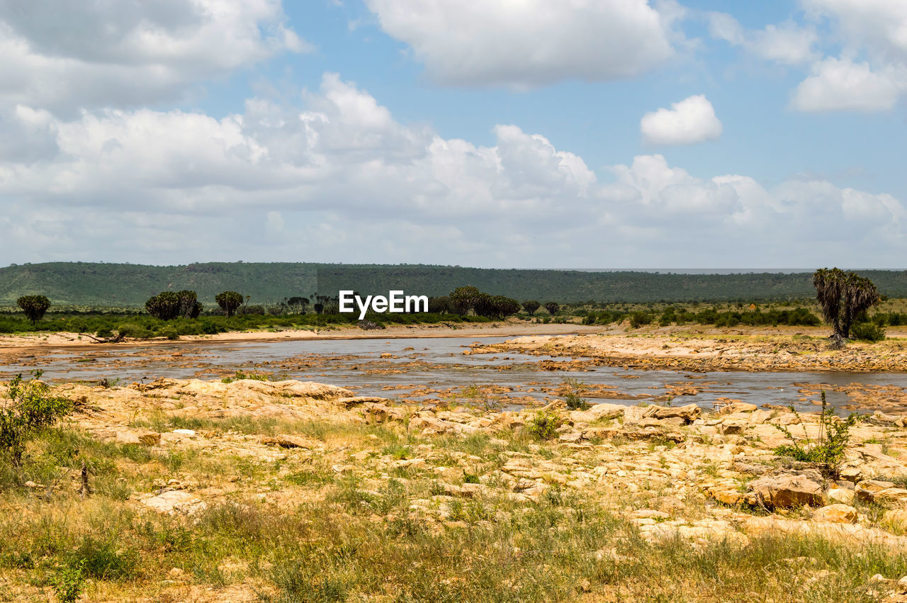 Galana river, tsavo east national park, kenya, east africa, africa