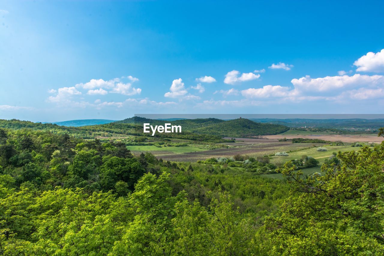 Scenic view of landscape by sea against sky