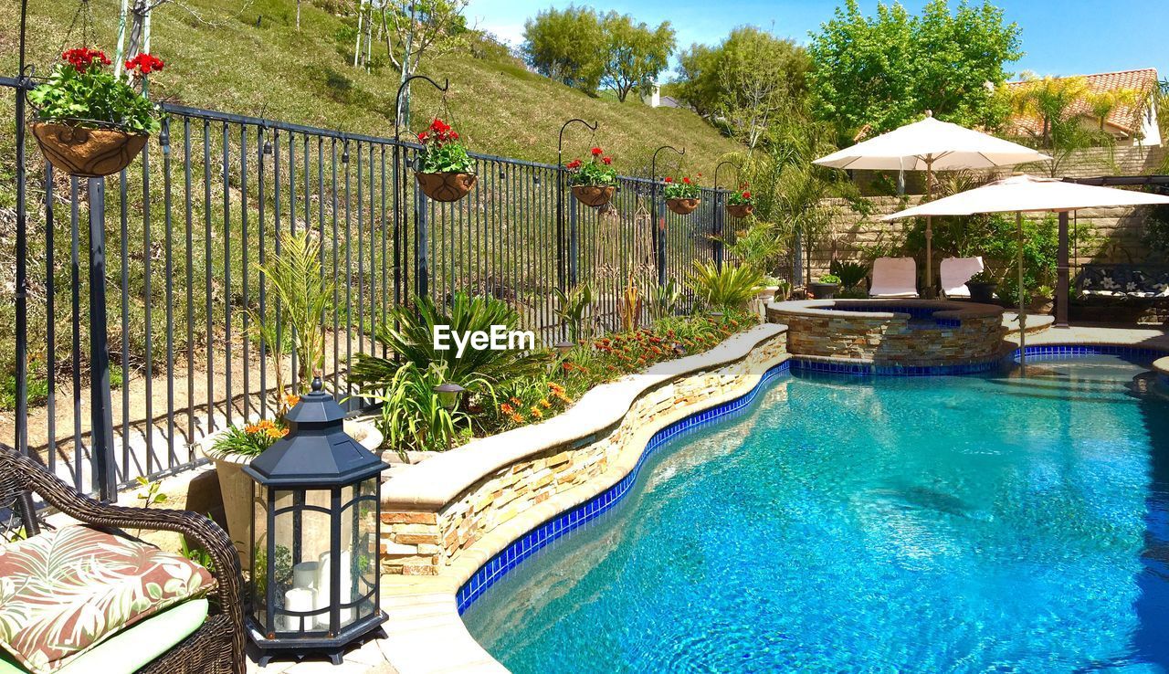 View of swimming pool against plants