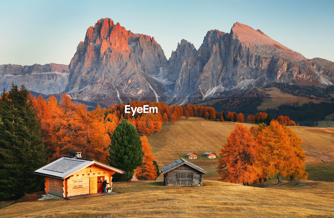 Scenic view of autumn trees on mountain against sky