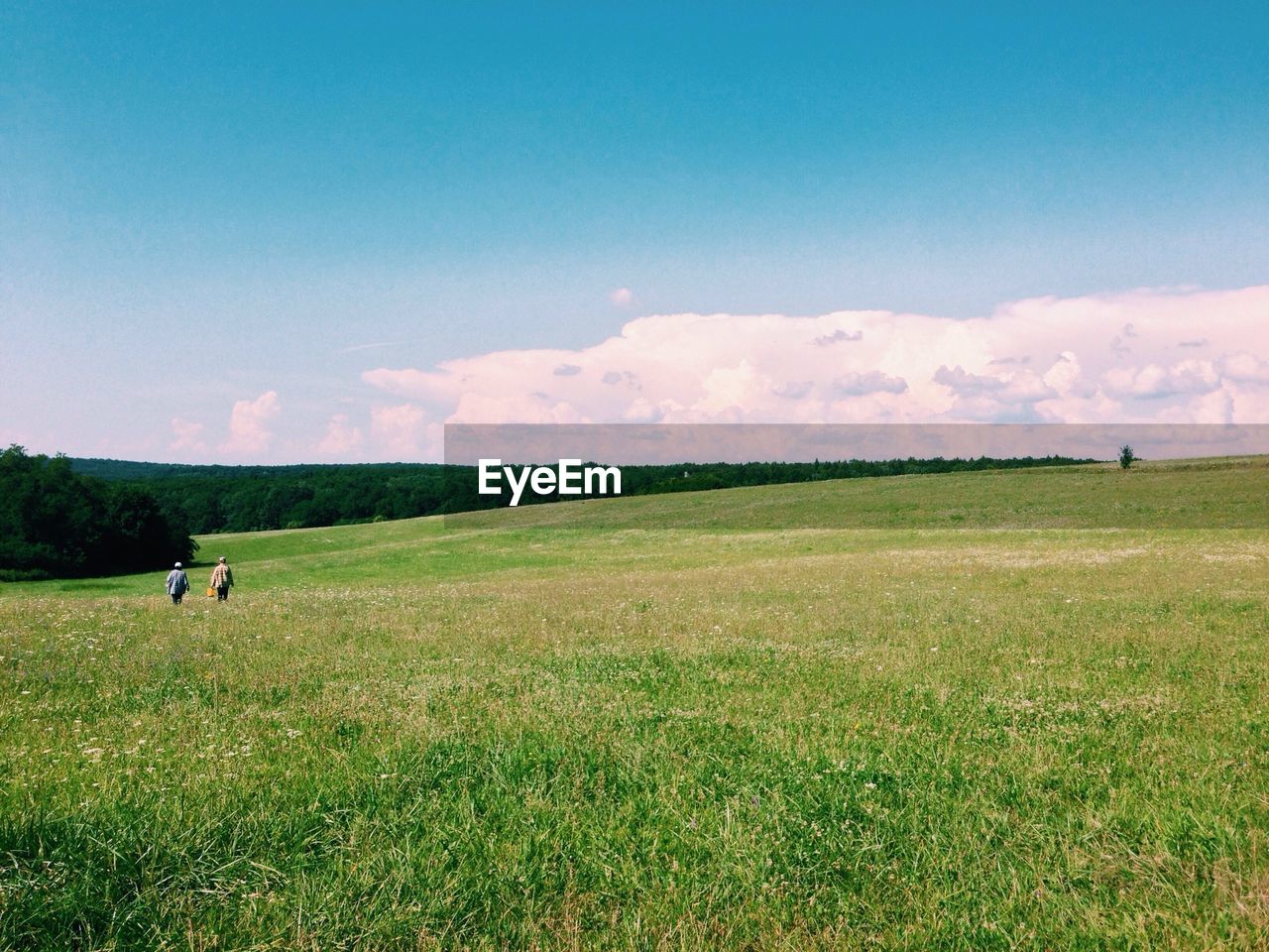 Couple walking through field