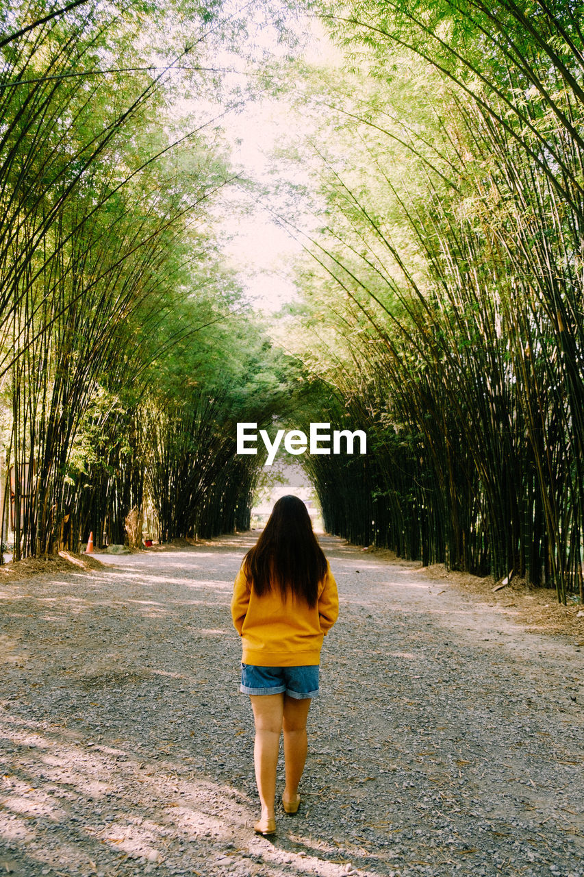 Rear view of woman walking amidst bamboos