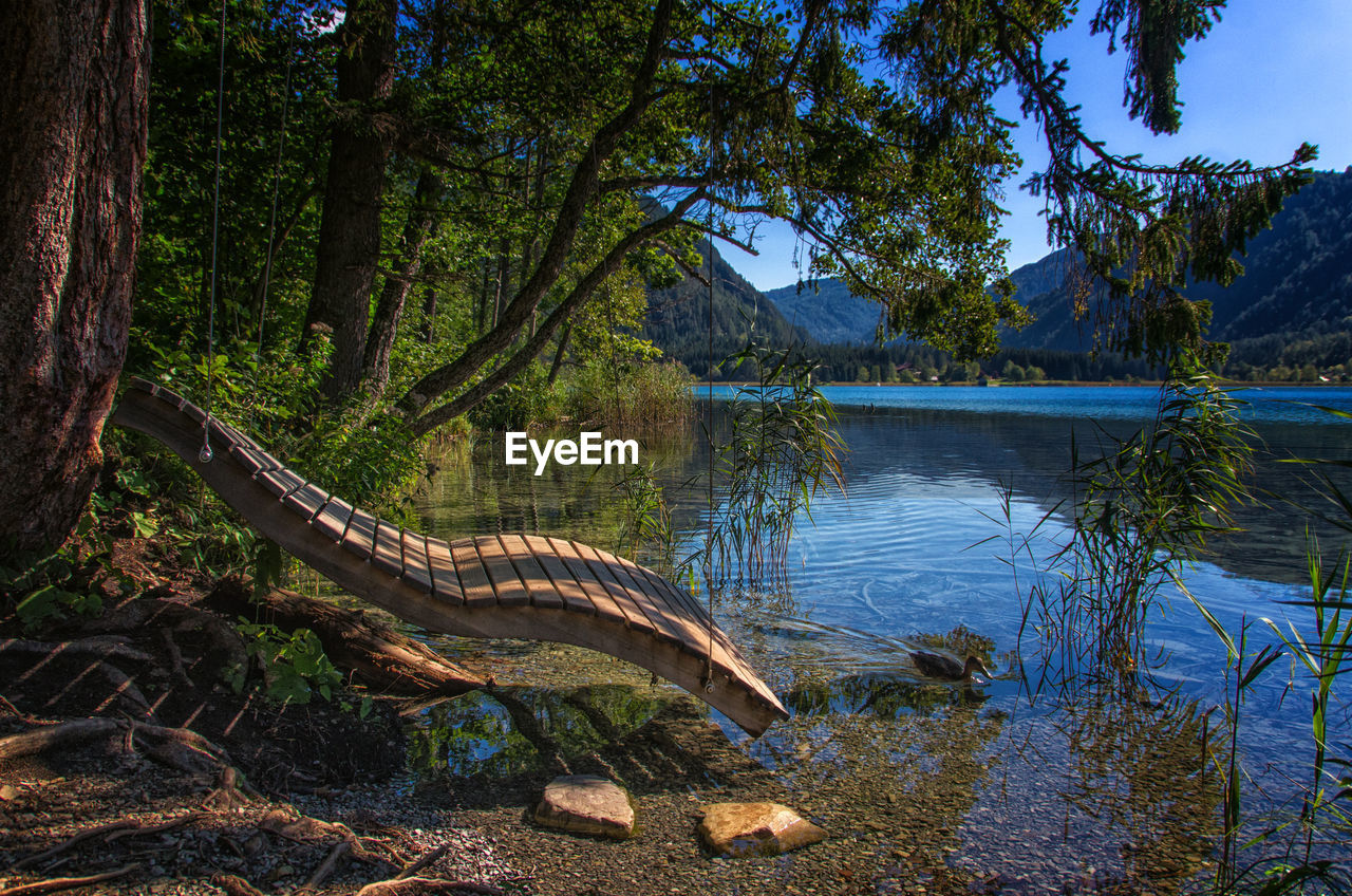 Scenic view of lake by trees in forest