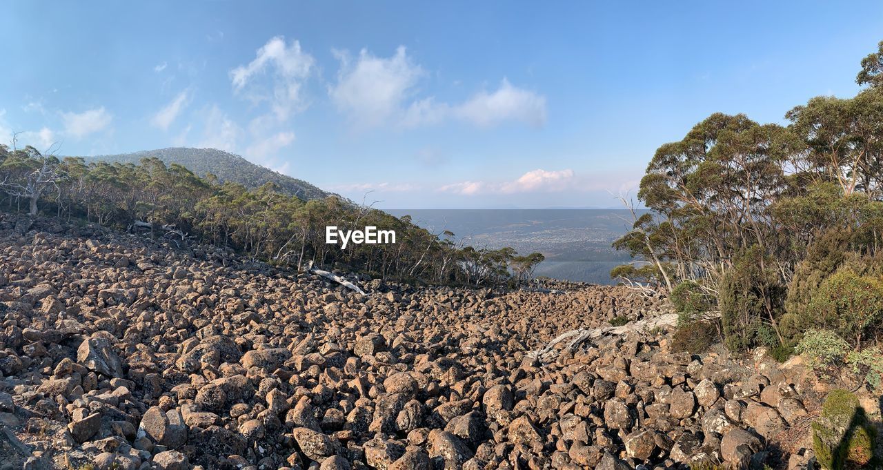 Panoramic view of rocks and trees against sky