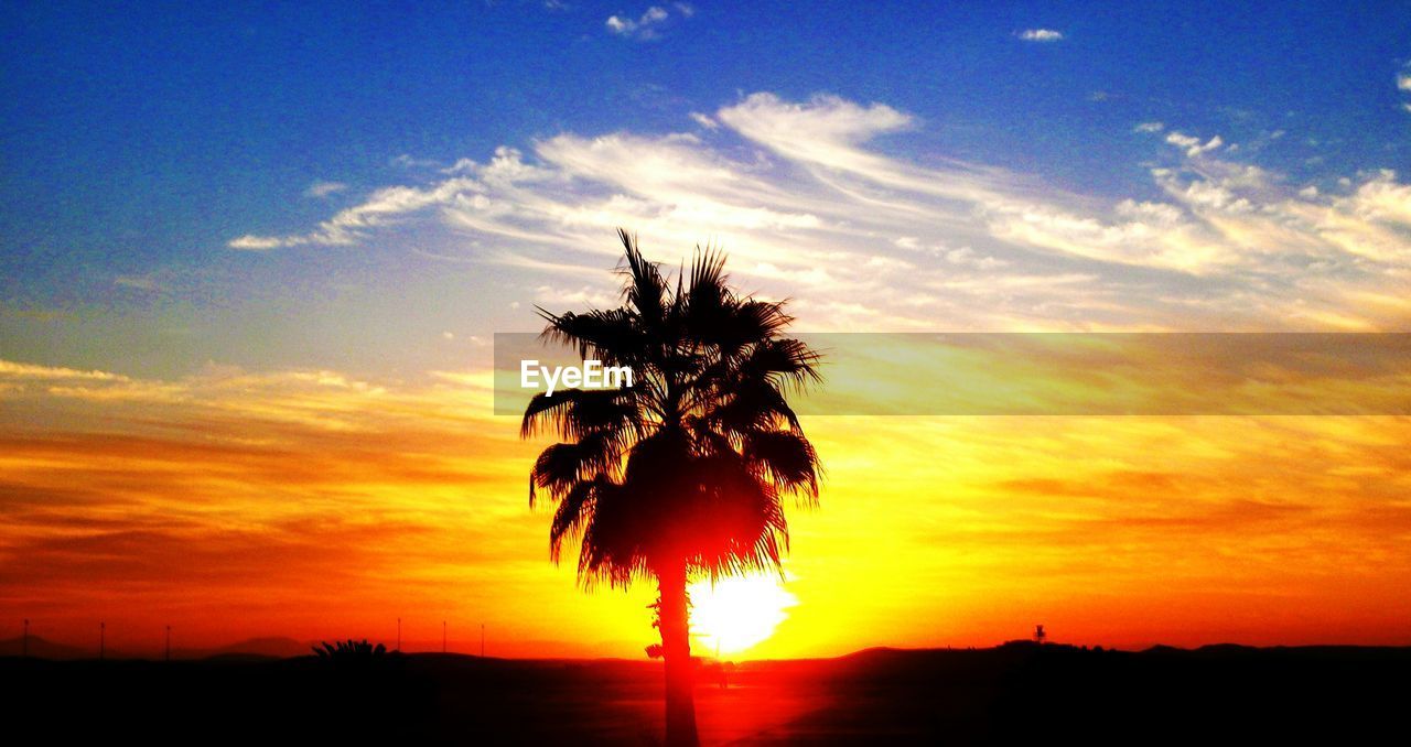 SILHOUETTE OF LANDSCAPE AGAINST DRAMATIC SKY