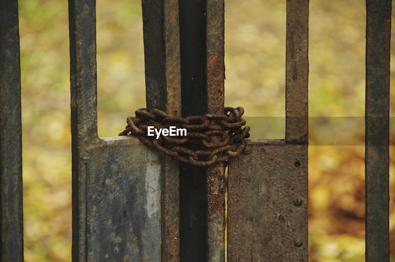 Close-up of rusty metal gate