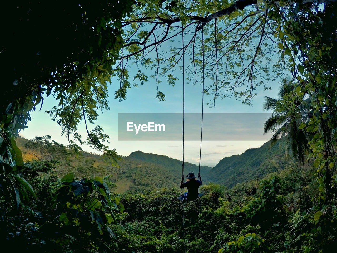 Person swinging over trees against sky