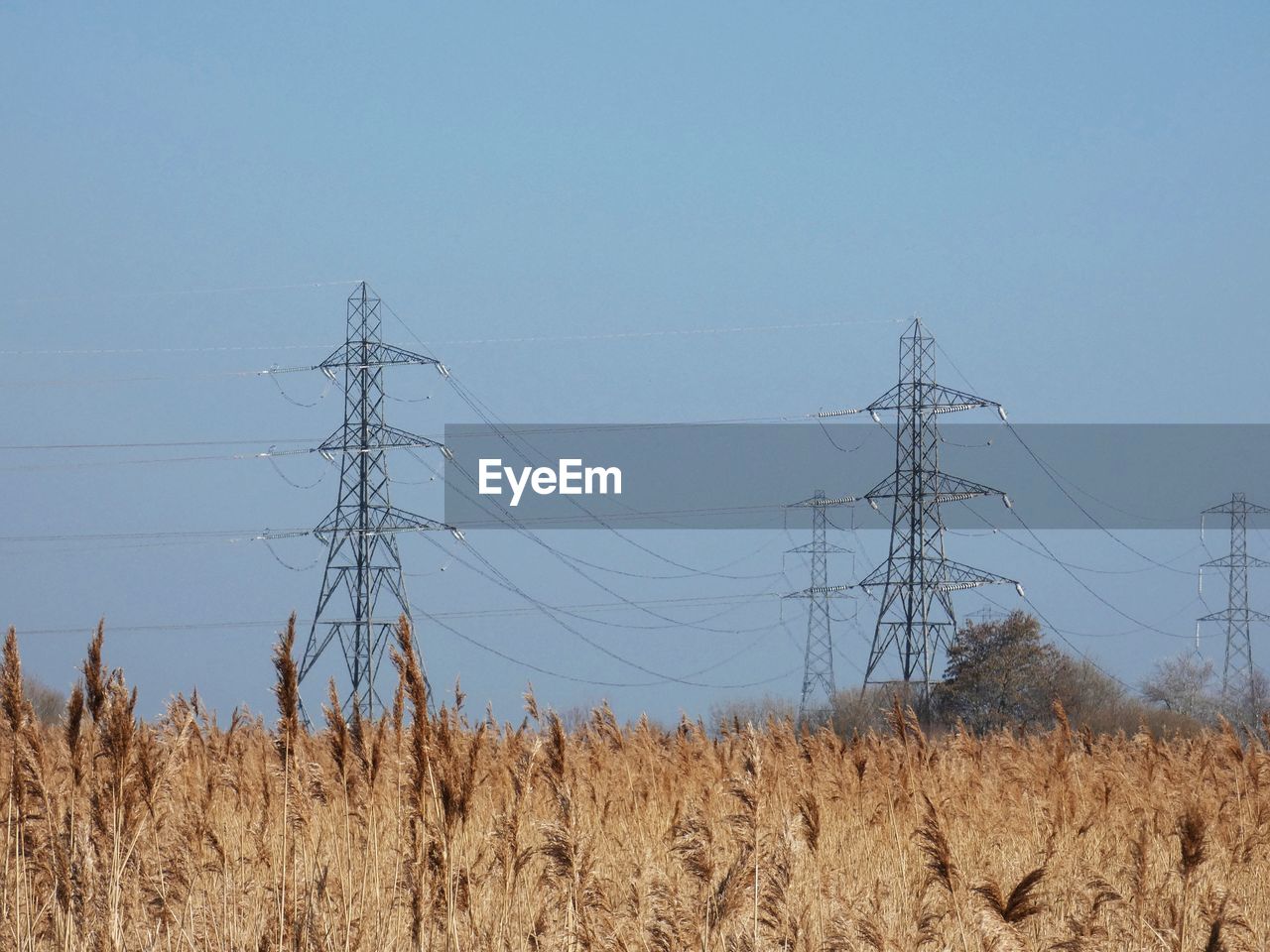 Low angle view of electricity pylon on field against sky