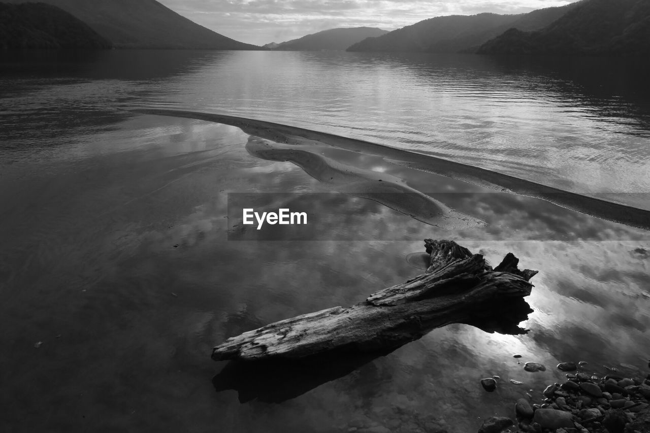 High angle view of driftwood on beach