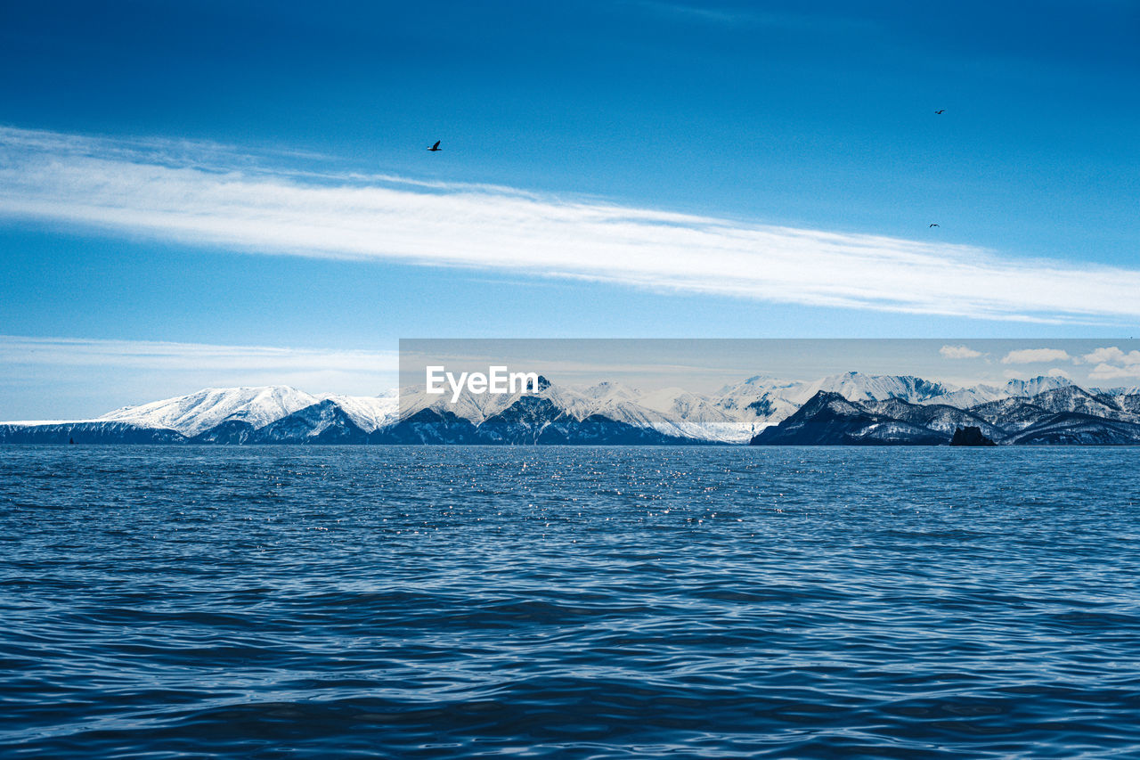 cold temperature, snow, water, sea, scenics - nature, beauty in nature, sky, winter, mountain, environment, landscape, nature, horizon, blue, travel destinations, ocean, ice, travel, no people, tranquil scene, snowcapped mountain, tranquility, animal wildlife, iceberg, animal themes, wildlife, animal, outdoors, mountain range, bird, frozen, glacier, cloud, lagoon, day, polar climate, tourism, non-urban scene, land