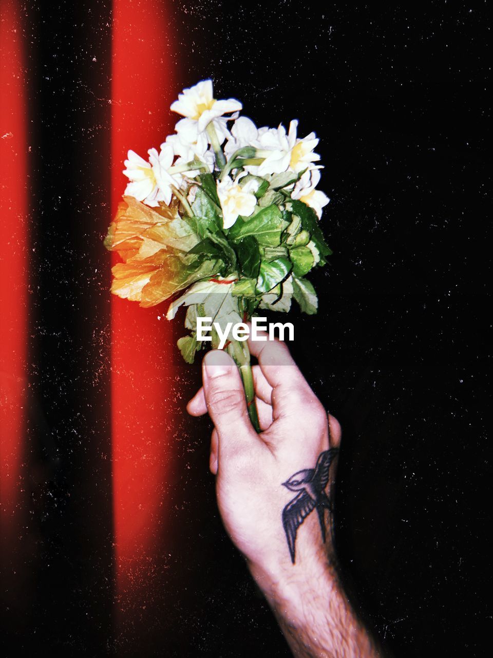 CLOSE-UP OF HAND HOLDING FLOWER BOUQUET AGAINST BLACK AND WHITE