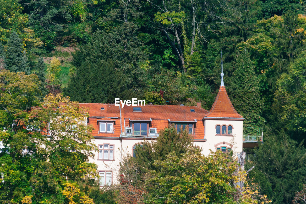 HOUSE AMIDST TREES AND PLANTS IN CITY