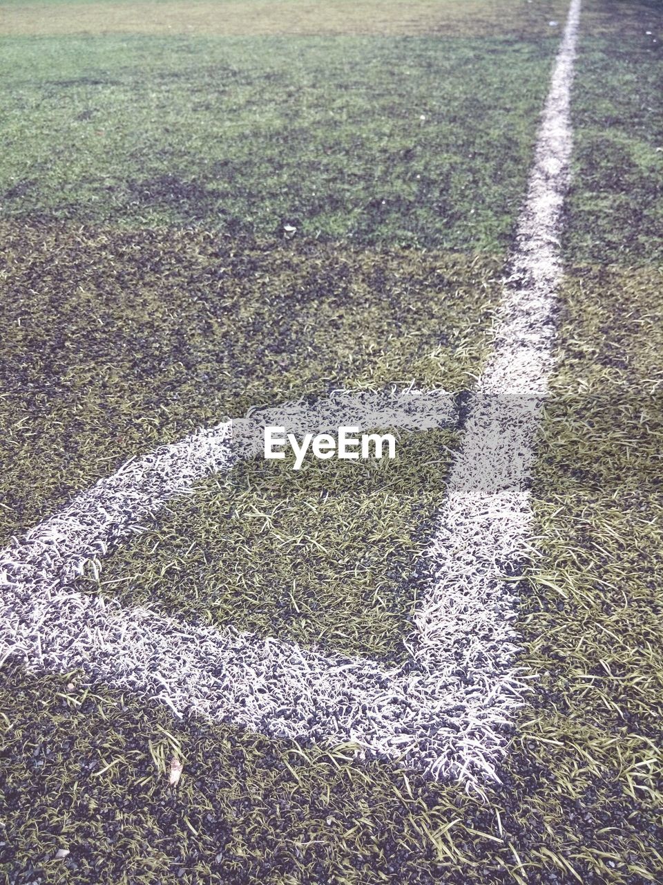 HIGH ANGLE VIEW OF GRASS ON GROUND