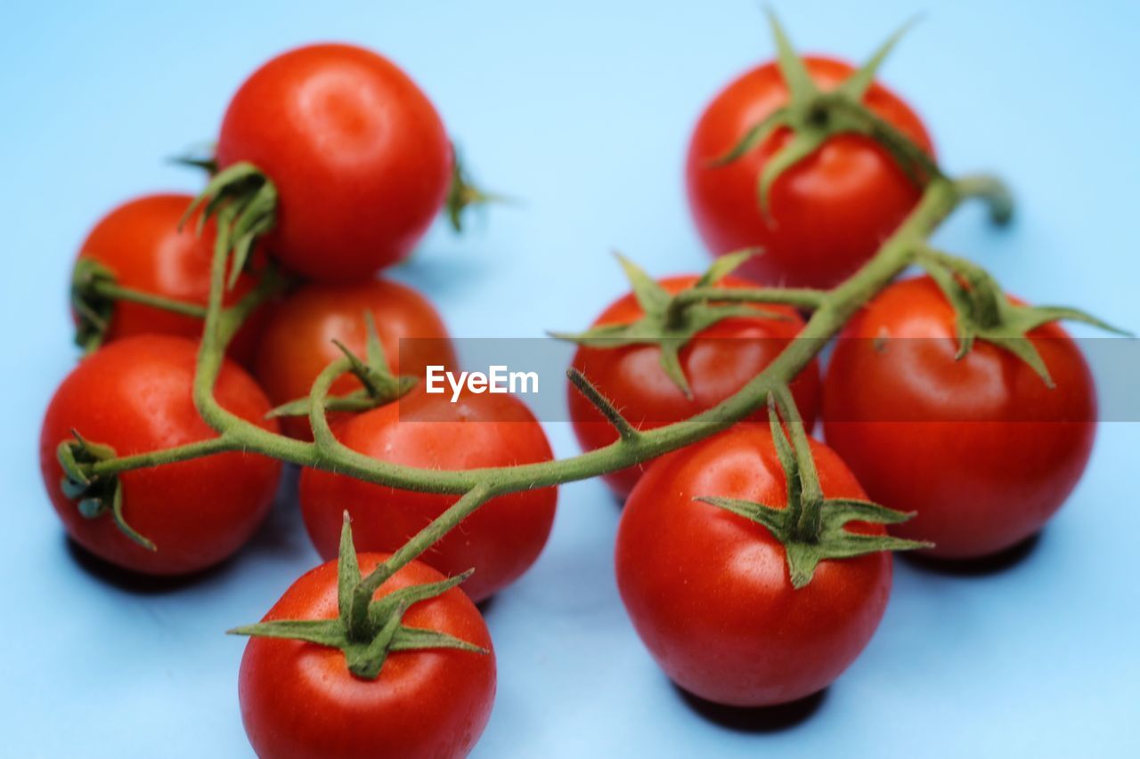 CLOSE-UP OF CHERRY TOMATOES