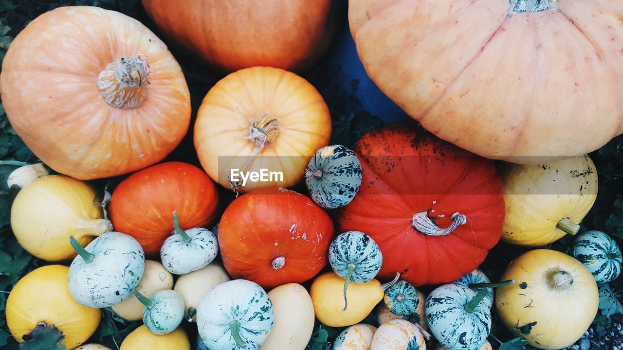 Full frame shot of colorful pumpkins for sale at market stall