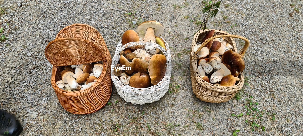 High angle view of mushrooms in basket