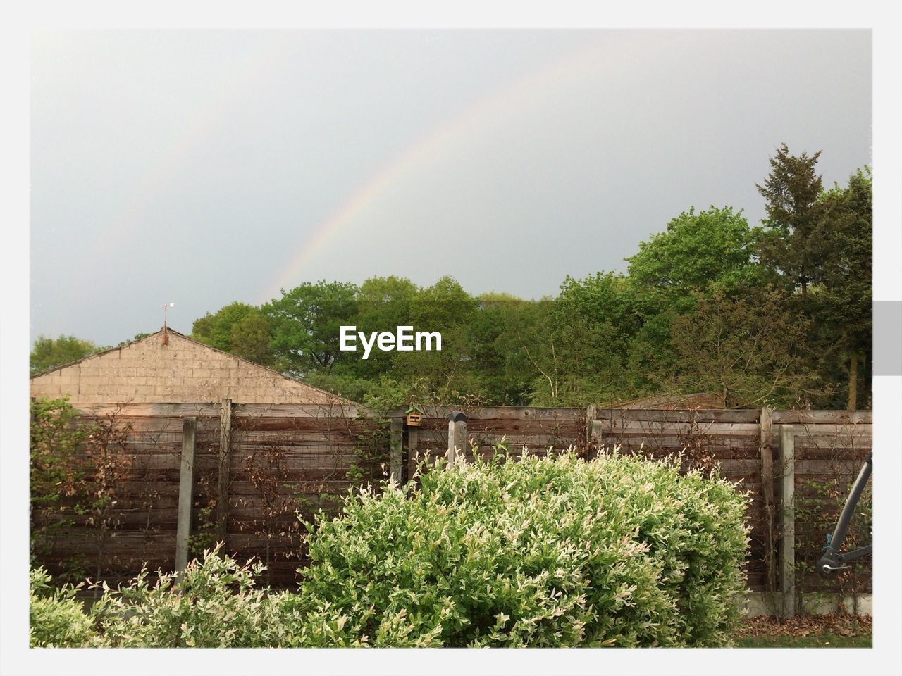 Rainbow over shed and trees