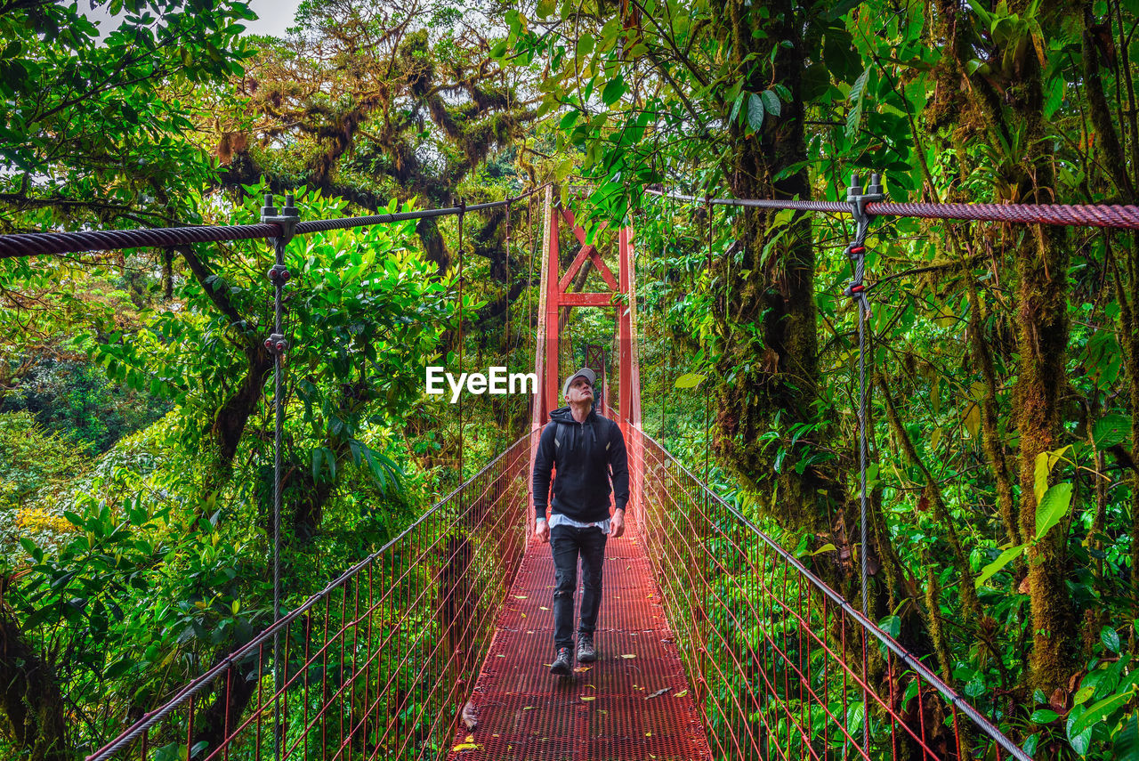 REAR VIEW OF PERSON STANDING ON FOOTBRIDGE IN FOREST