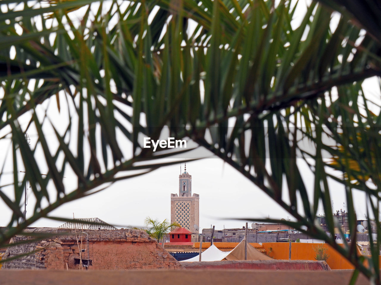 Close-up of palm leaves against koutoubia mosque in city