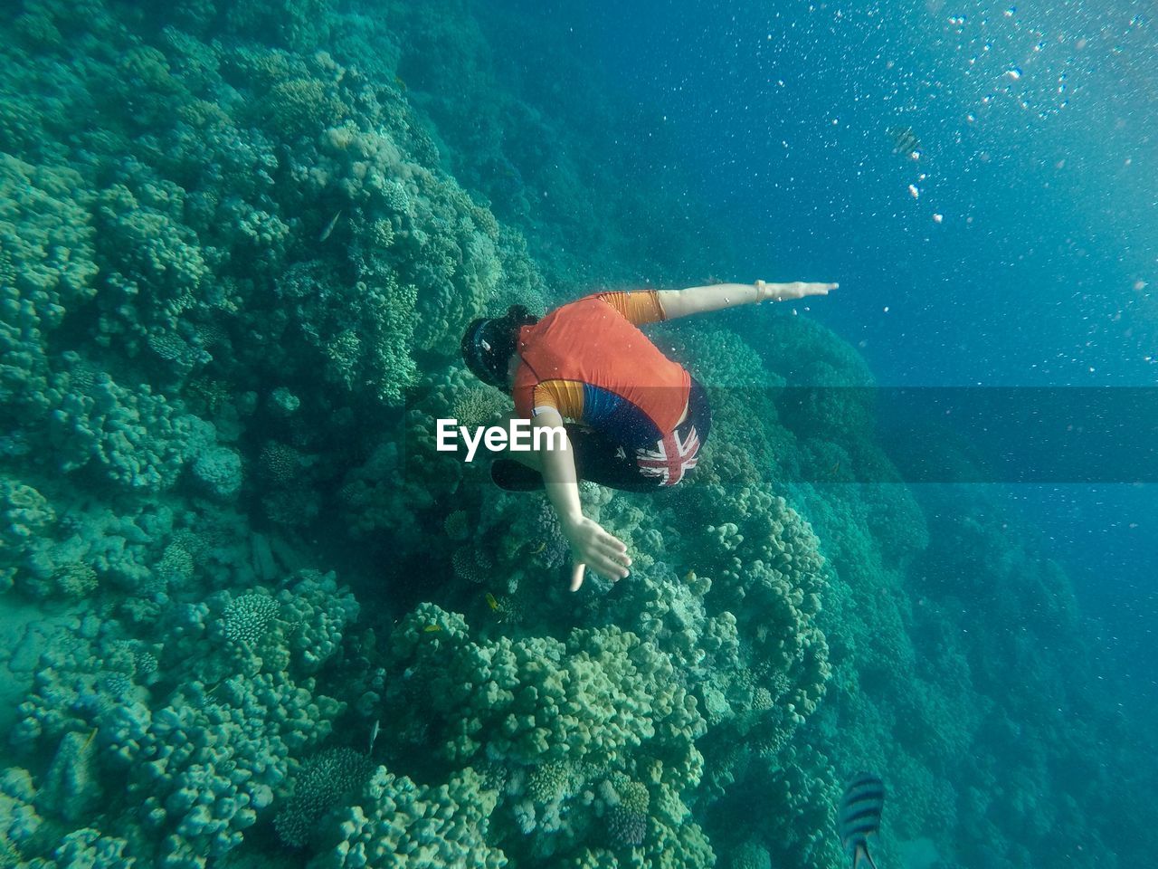 Full length of girl swimming in sea