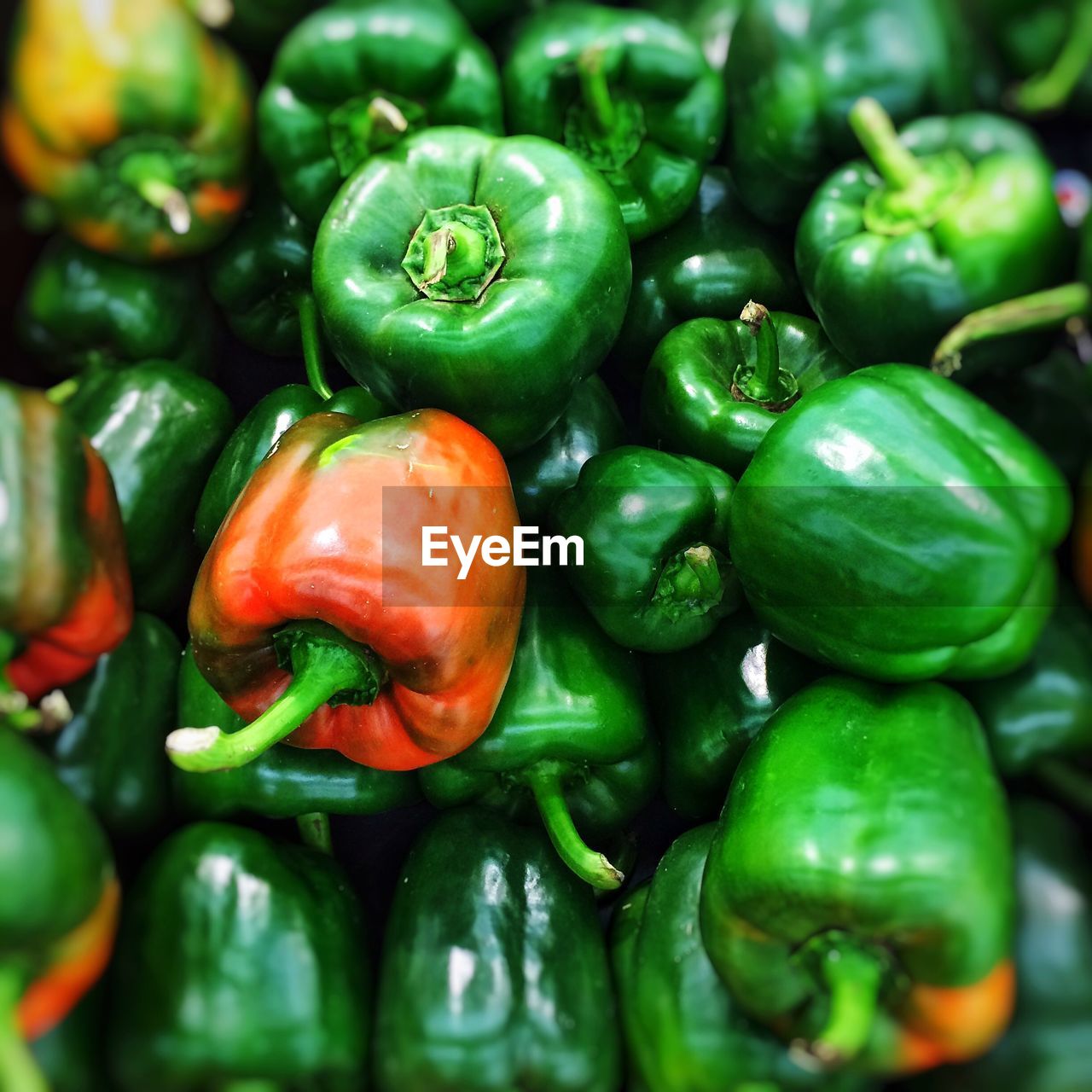 Full frame shot of green bell peppers