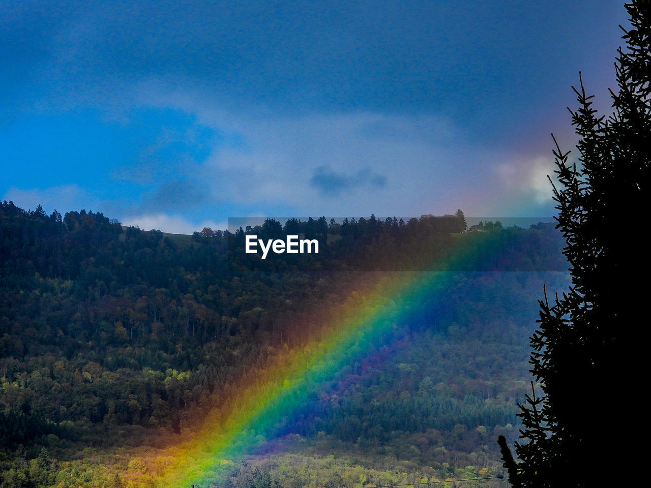 Scenic view of rainbow against sky