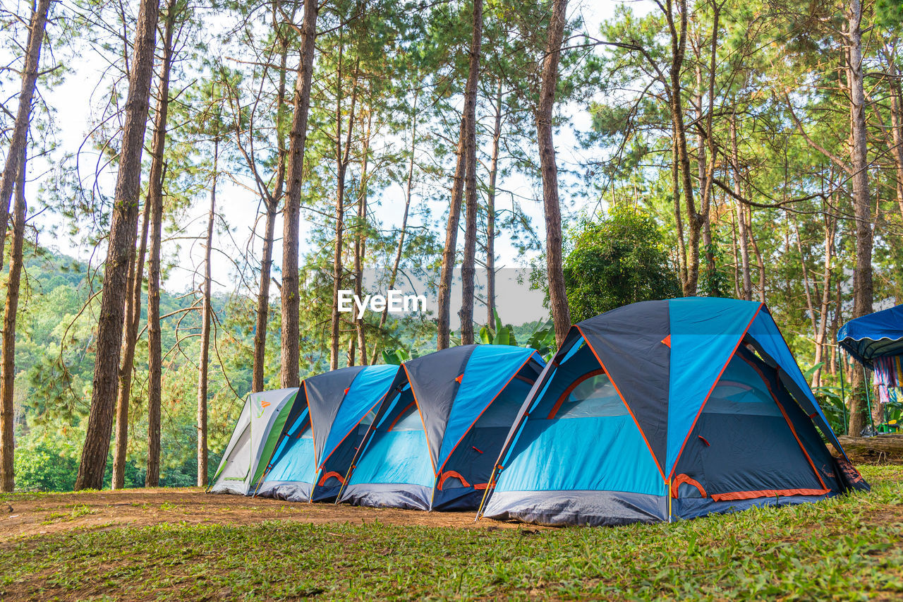 tent on field