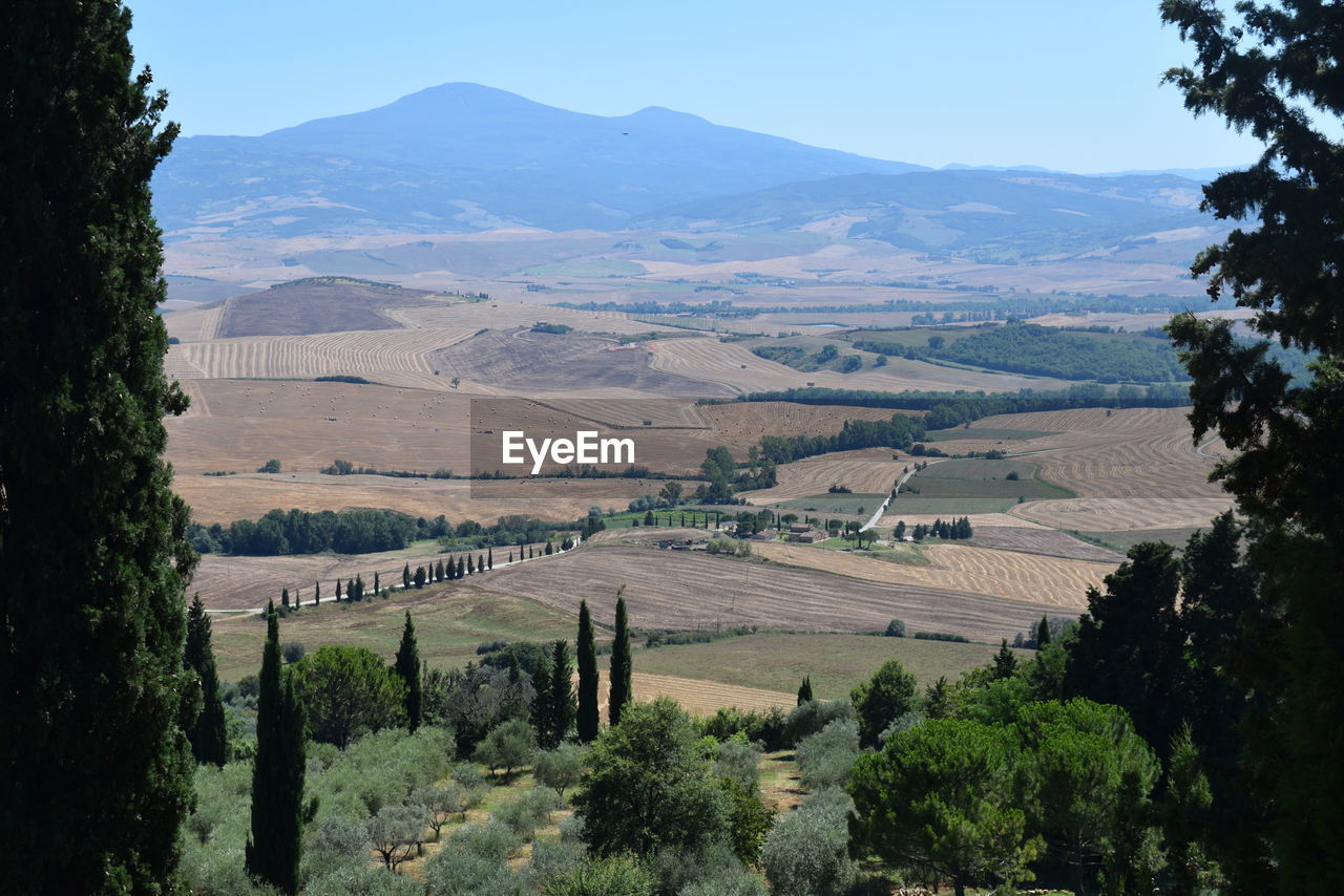 Scenic view of vineyard against sky