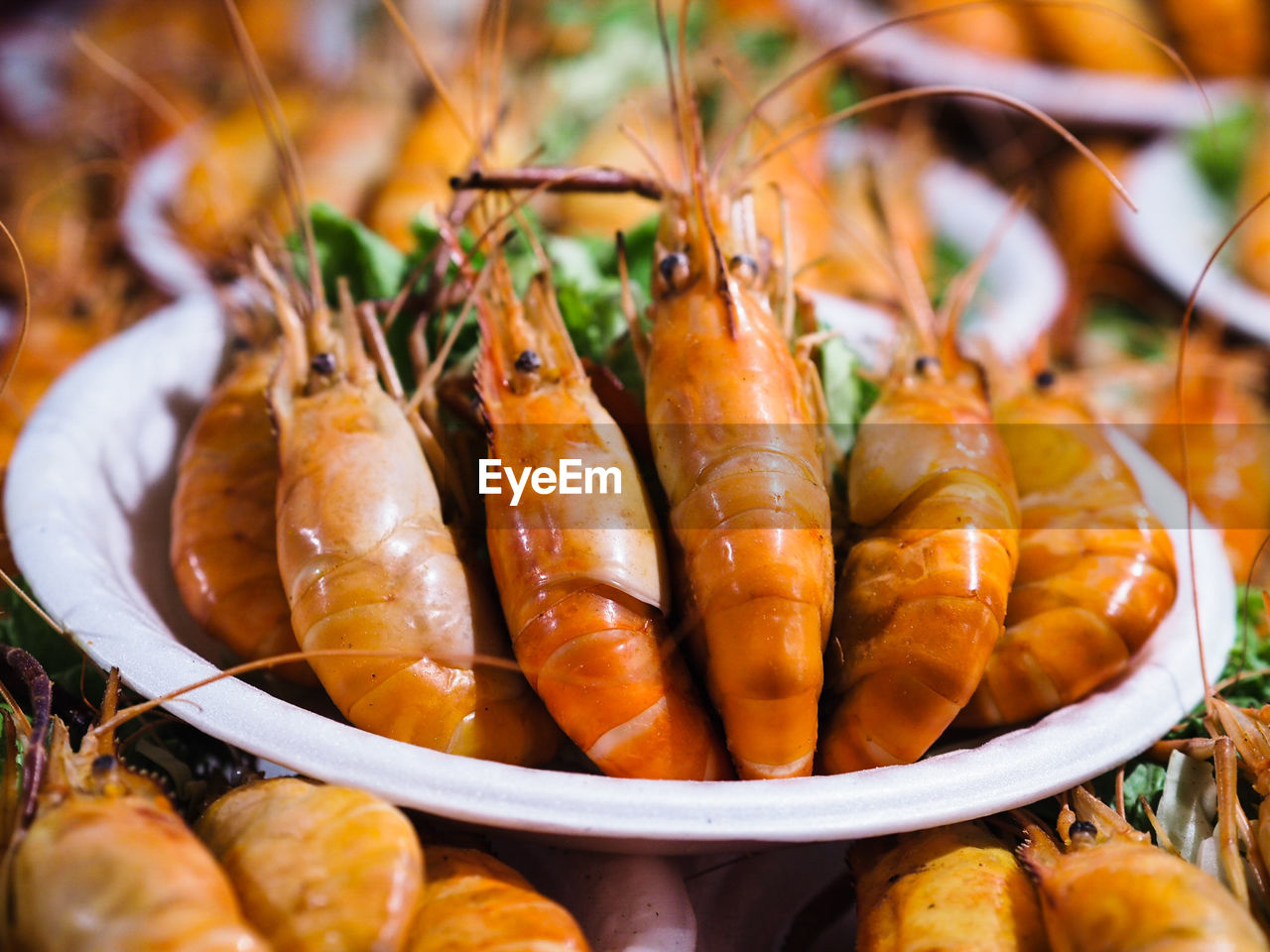 Close-up of fresh sea food in plate