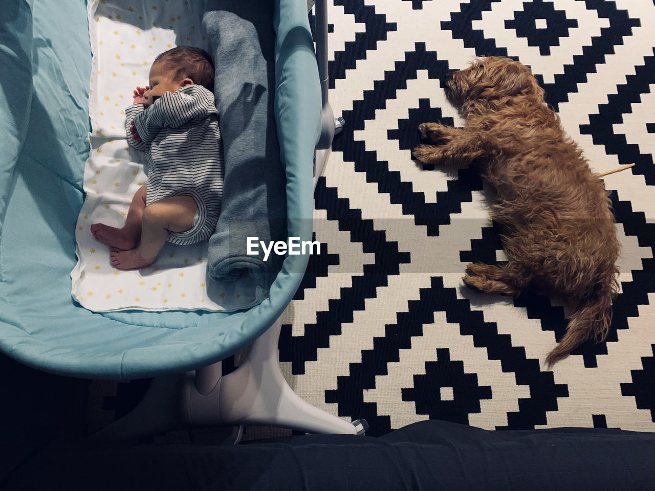 High angle view of baby and dog sleeping