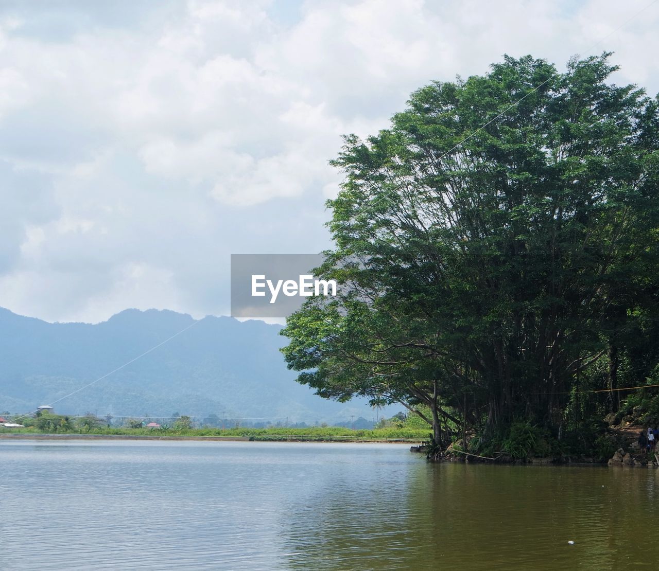 SCENIC VIEW OF LAKE BY TREE AGAINST SKY