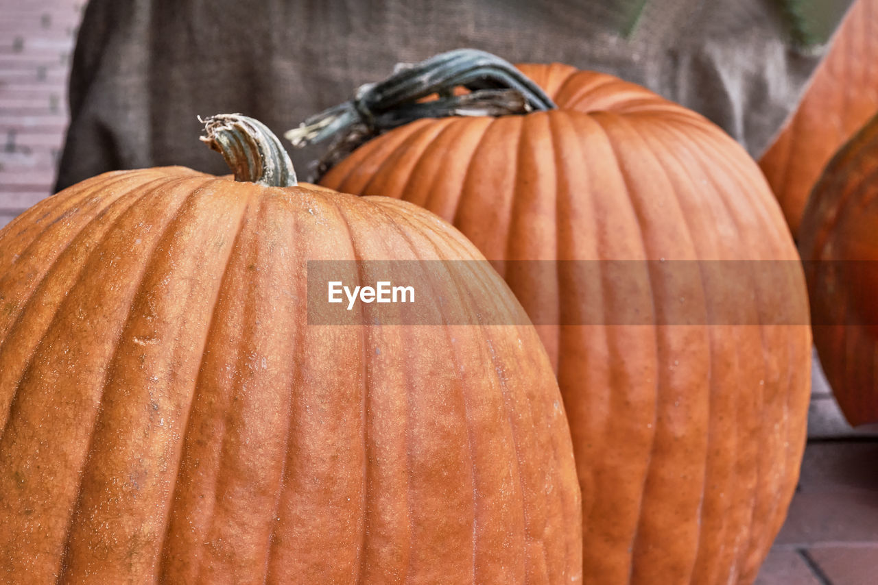 Close-up of pumpkin for sale at market stall