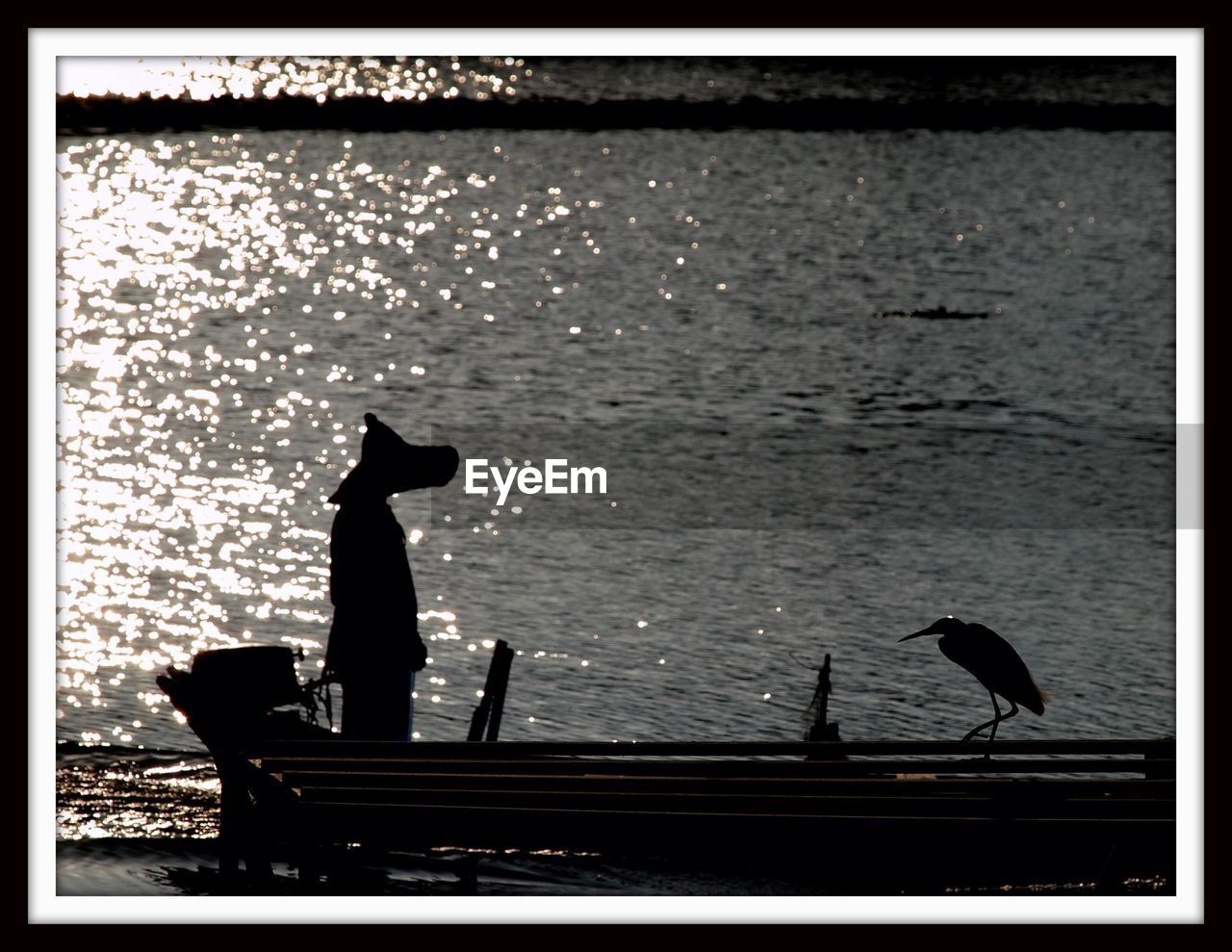 Silhouette of crane and person on boat