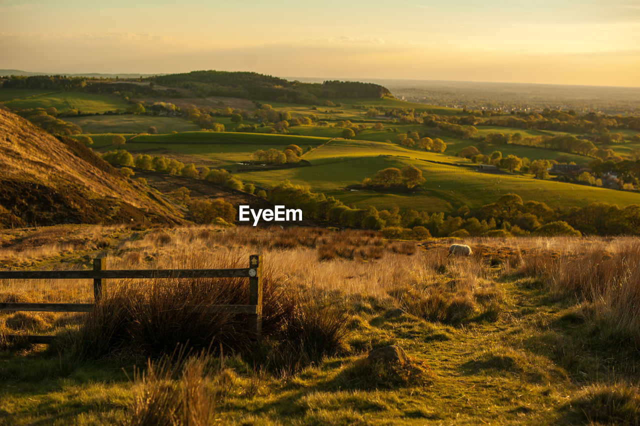 Scenic view of agricultural field against sky during sunset