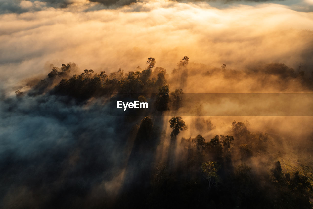 PANORAMIC VIEW OF TREES AGAINST SKY DURING SUNSET