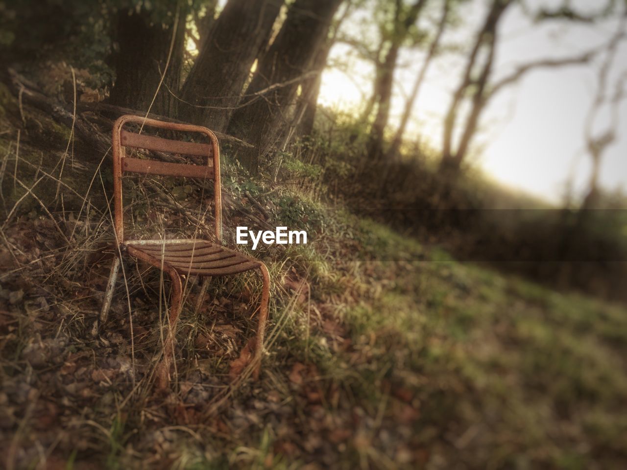 EMPTY CHAIR ON GRASS