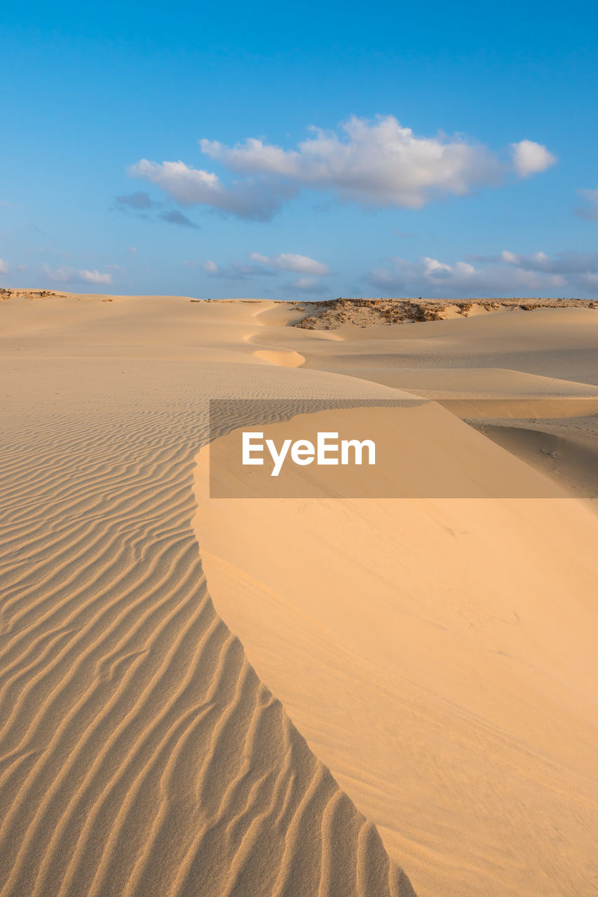 Sand at beach against sky