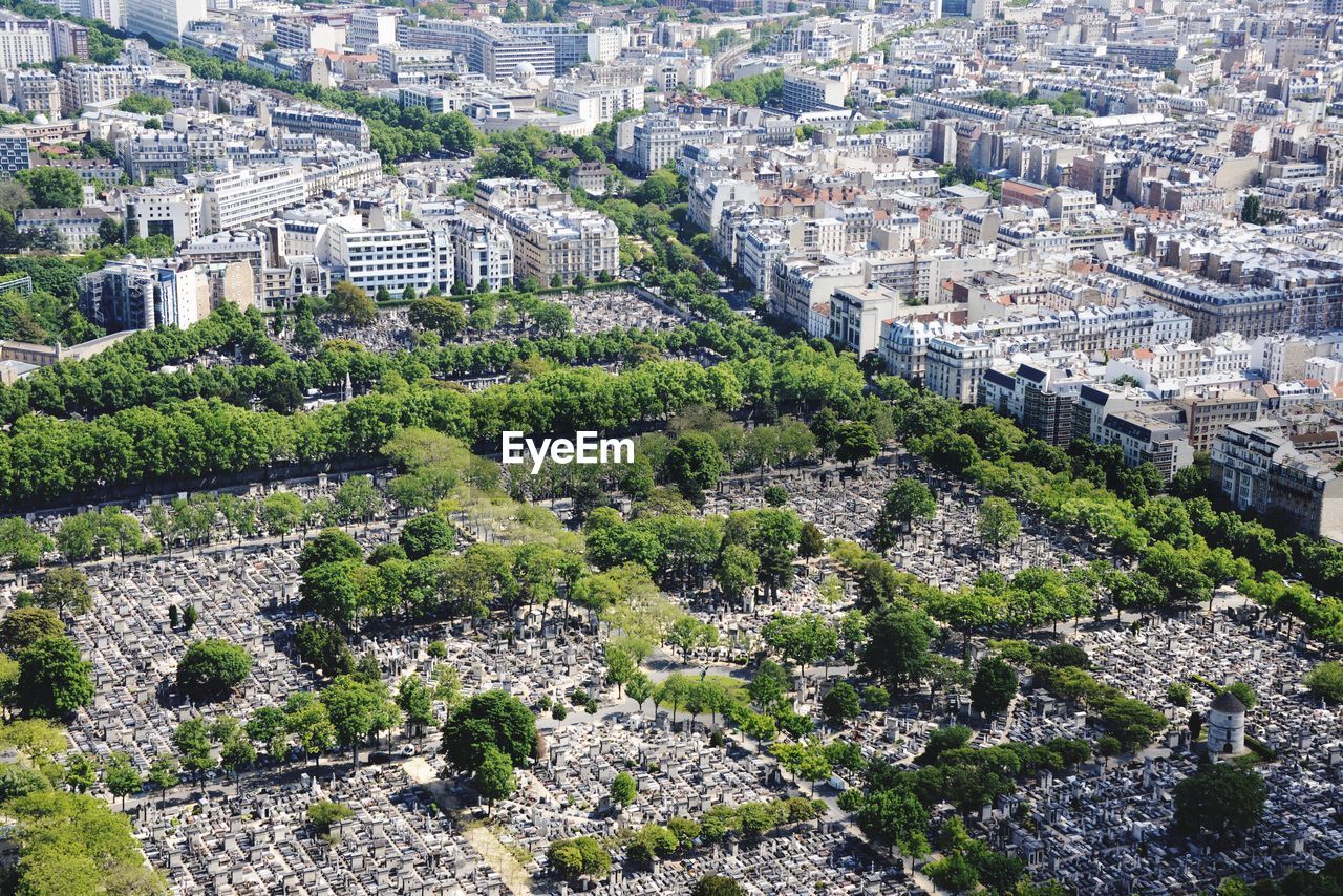 High angle view of cityscape and trees