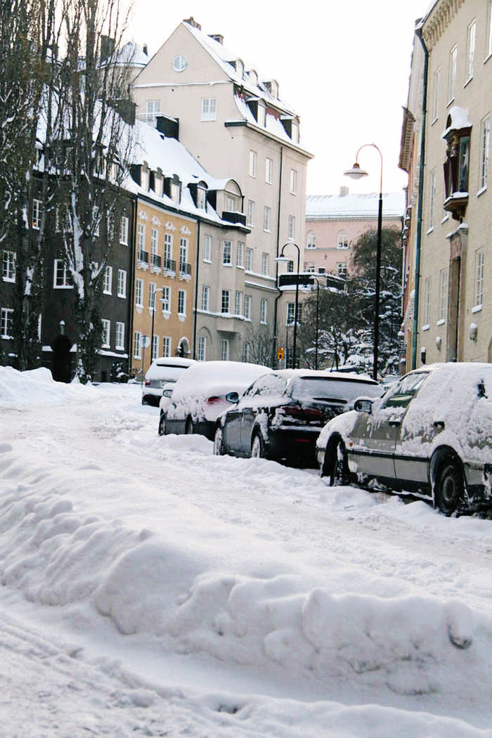 SNOW COVERED TREES IN WINTER