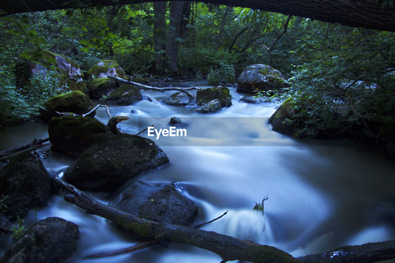 River flowing through rocks in forest